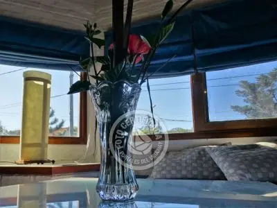 Coco Loco Lodge - Bahama Mama - La Paloma