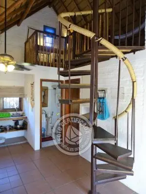 Coco Loco Lodge - Bahama Mama - La Paloma