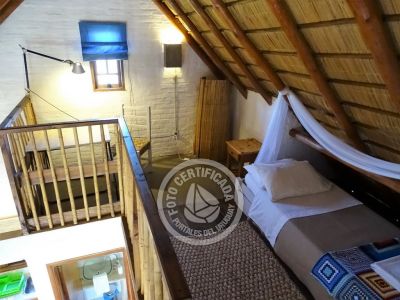 Coco Loco Lodge - Bahama Mama - La Paloma