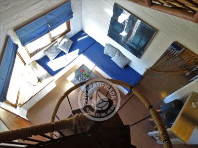 Coco Loco Lodge - Bahama Mama - La Paloma