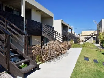 Cara Colomba - La Paloma