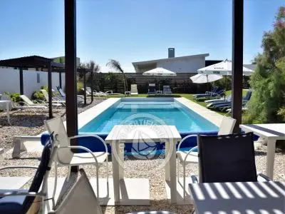 Cara Colomba - La Paloma