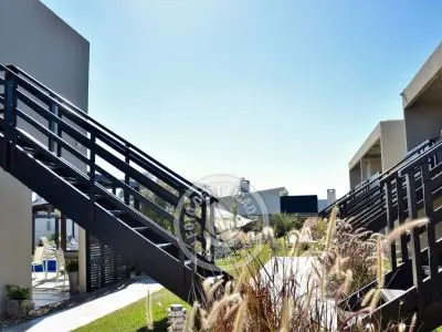 Cara Colomba - La Paloma