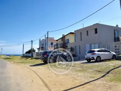 Cara Colomba - La Paloma