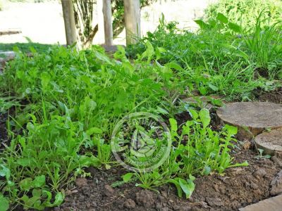 Valle del Hilo de la Vida - Sierras de Minas - Posada