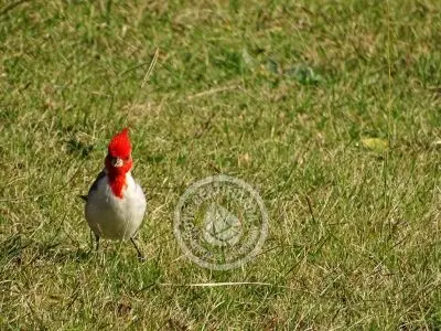 Valle del Hilo de la Vida - Sierras de Minas - Posada