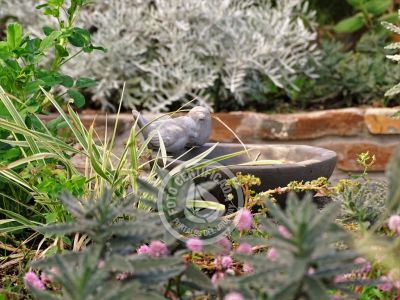 Valle del Hilo de la Vida - Sierras de Minas - Posada