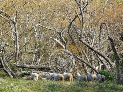 Valle del Hilo de la Vida - Sierras de Minas - Posada