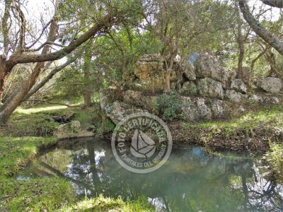 Valle del Hilo de la Vida - Sierras de Minas - Posada