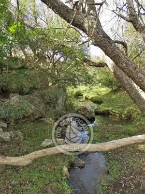 Valle del Hilo de la Vida - Sierras de Minas - Posada