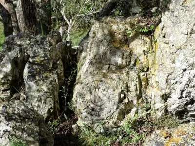 Valle del Hilo de la Vida - Sierras de Minas - Posada