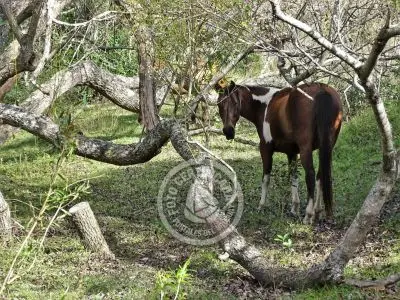 Valle del Hilo de la Vida - Sierras de Minas - Posada