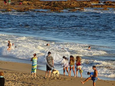 La Paloma - La Balconada