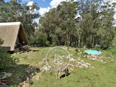 Hotel Venite a casa Bungalows Villa Serrana