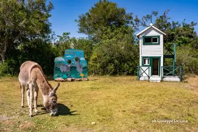 Venite a Casa Bungalows - Villa Serrana