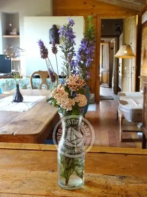 Cabaña Villa Amendoeira - Octógono Om Shanti Villa Serrana