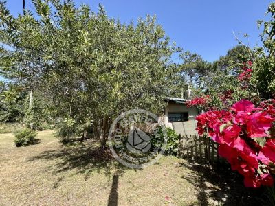 Complejo Punta Avellaneda Punta del Diablo