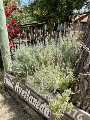 Villa Punta Avellaneda Punta del Diablo