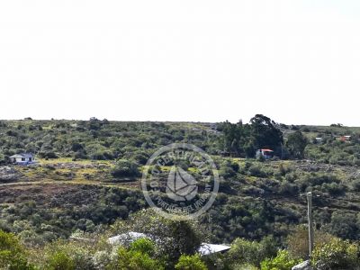 Cabin El Chiringuito Villa Serrana