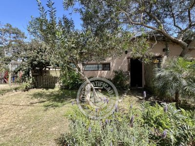 Punta Avellaneda -1 Punta del Diablo