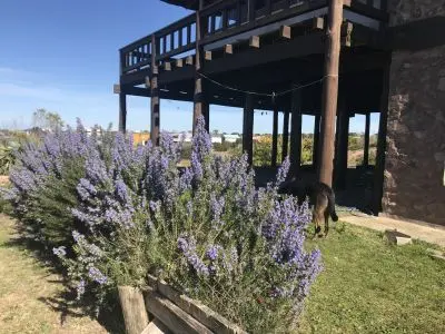 Casa Turmalina Punta del Diablo