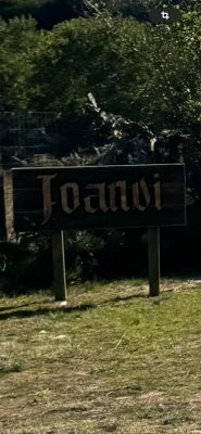 House Joanvi La Paloma