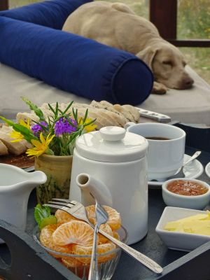 Habitación Caracol/Calamar: Doble standard vista jardín  - Carmela Cabo Polonio