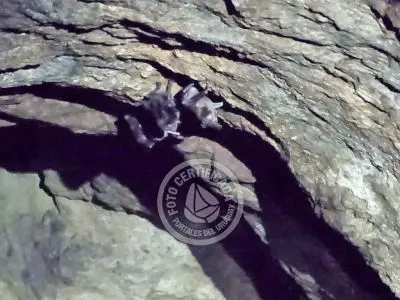 Aiguá - Maldonado - Localidad