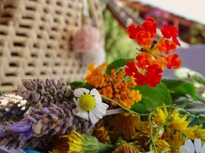 Complejo Nao tem fim Punta del Diablo