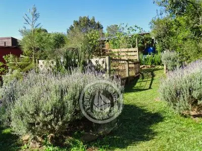 Cabaña Ganesha Villa Serrana