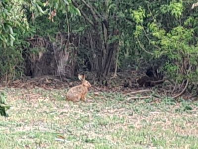Villa Chacra Las Flores Las Flores