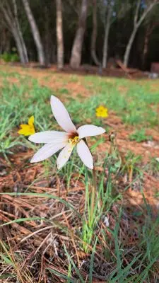 Villa Chacra Las Flores Las Flores