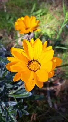 Villa Chacra Las Flores Las Flores