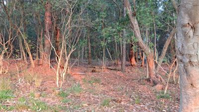 Villa Chacra Las Flores Las Flores