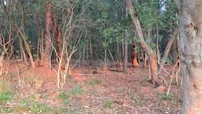 Villa Chacra Las Flores Las Flores