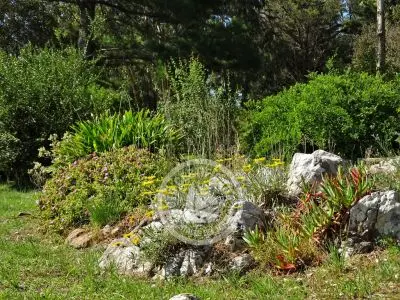 Villa Chacra Las Flores Las Flores