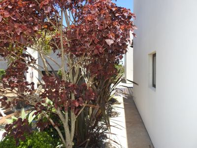 El Diablo Chic - Punta del Diablo