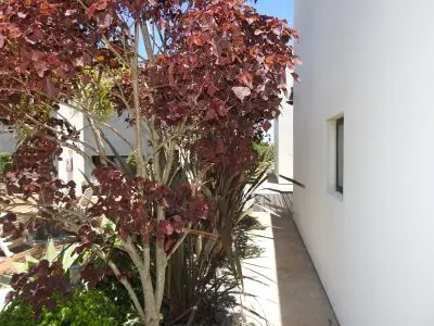 El Diablo Chic - Punta del Diablo