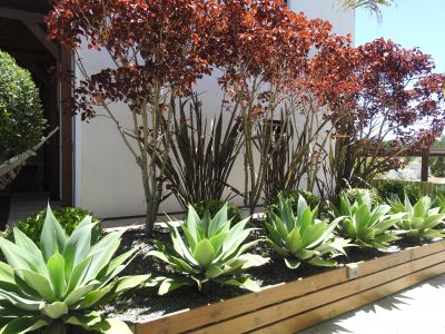 El Diablo Chic - Punta del Diablo