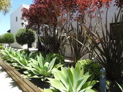 El Diablo Chic - Punta del Diablo