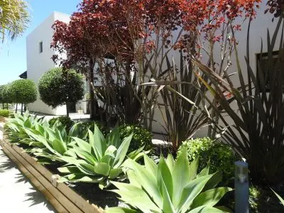 El Diablo Chic - Punta del Diablo