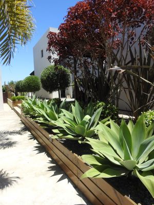 El Diablo Chic - Punta del Diablo