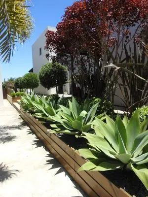 El Diablo Chic - Punta del Diablo