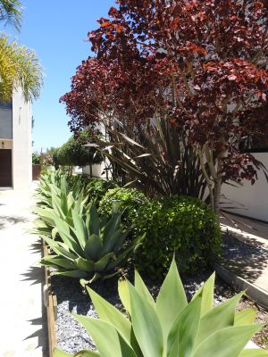 El Diablo Chic - Punta del Diablo