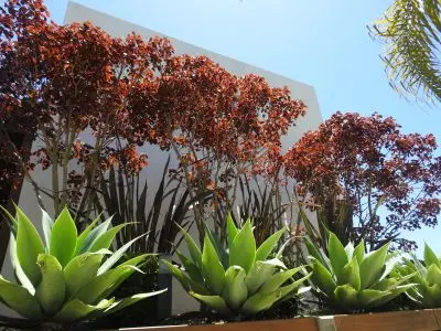 El Diablo Chic - Punta del Diablo