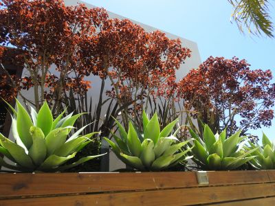 El Diablo Chic - Punta del Diablo