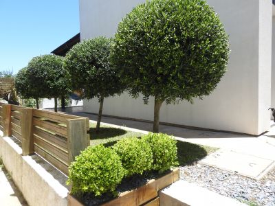 El Diablo Chic - Punta del Diablo