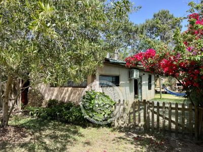 Punta Avellaneda - 2 Punta del Diablo