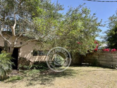 Punta Avellaneda - 2 Punta del Diablo