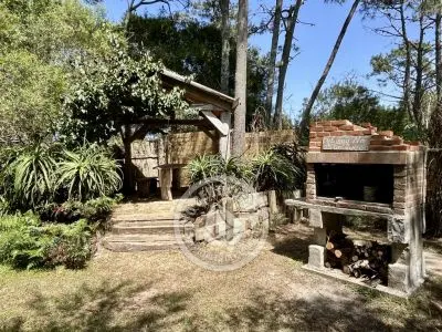 Punta Avellaneda - 2 Punta del Diablo